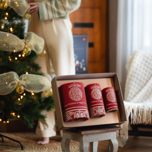 3in1 Christmas Gift